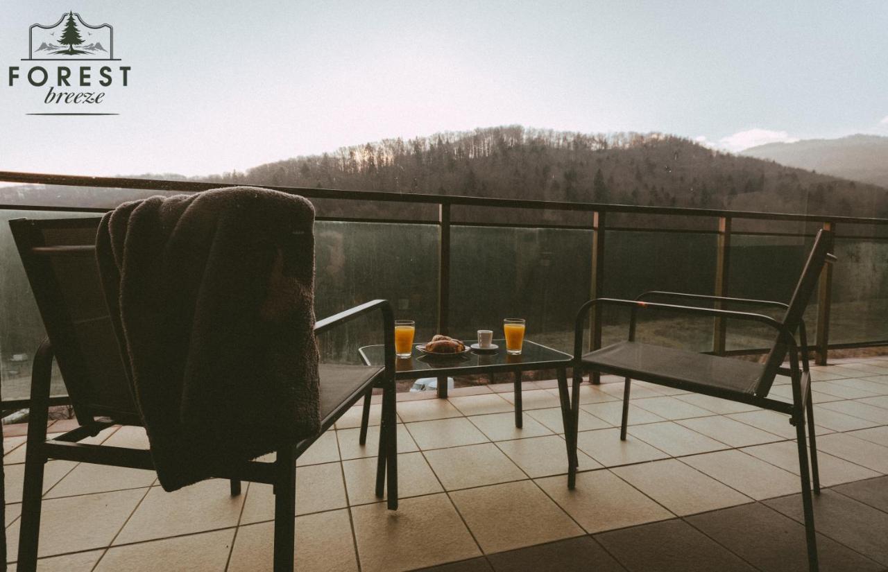 Forest Breeze Apartterrace ブラショフ エクステリア 写真