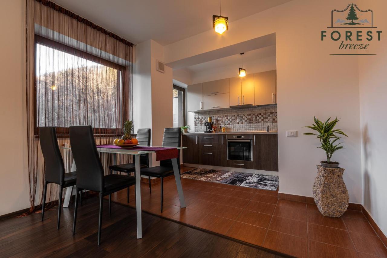 Forest Breeze Apartterrace ブラショフ エクステリア 写真