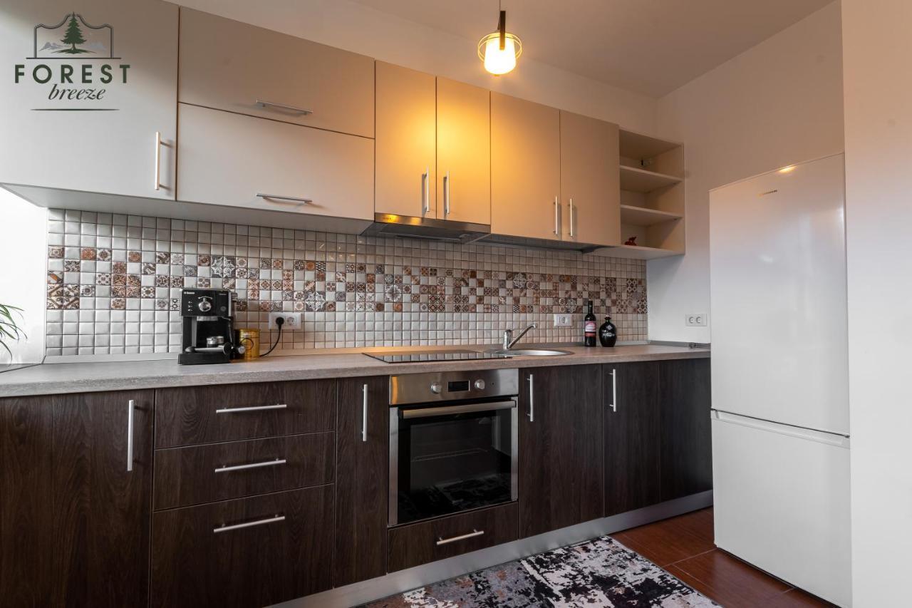 Forest Breeze Apartterrace ブラショフ エクステリア 写真