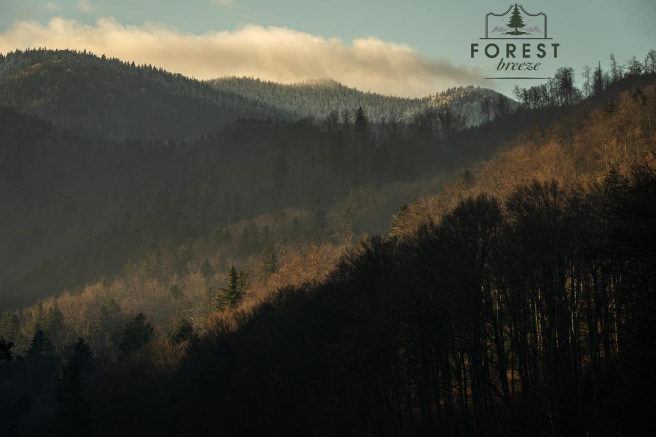 Forest Breeze Apartterrace ブラショフ エクステリア 写真