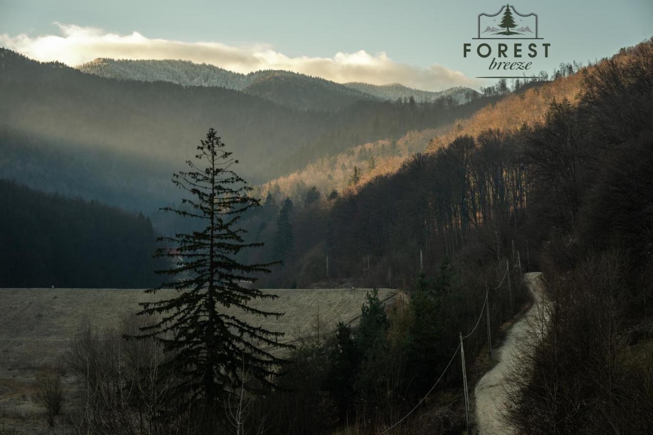 Forest Breeze Apartterrace ブラショフ エクステリア 写真