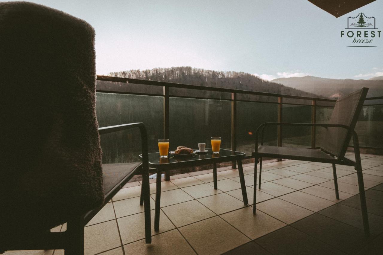 Forest Breeze Apartterrace ブラショフ エクステリア 写真