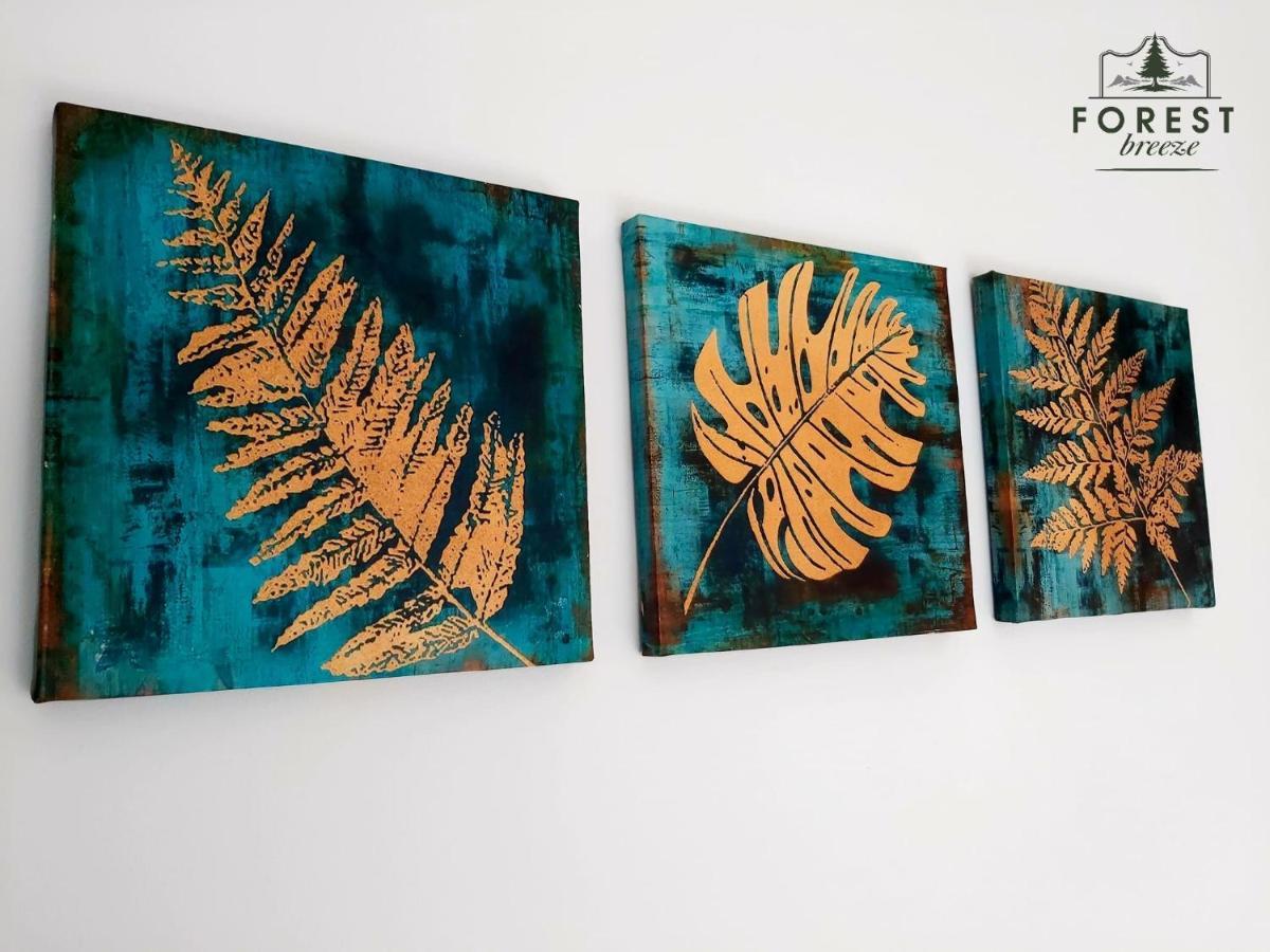 Forest Breeze Apartterrace ブラショフ エクステリア 写真