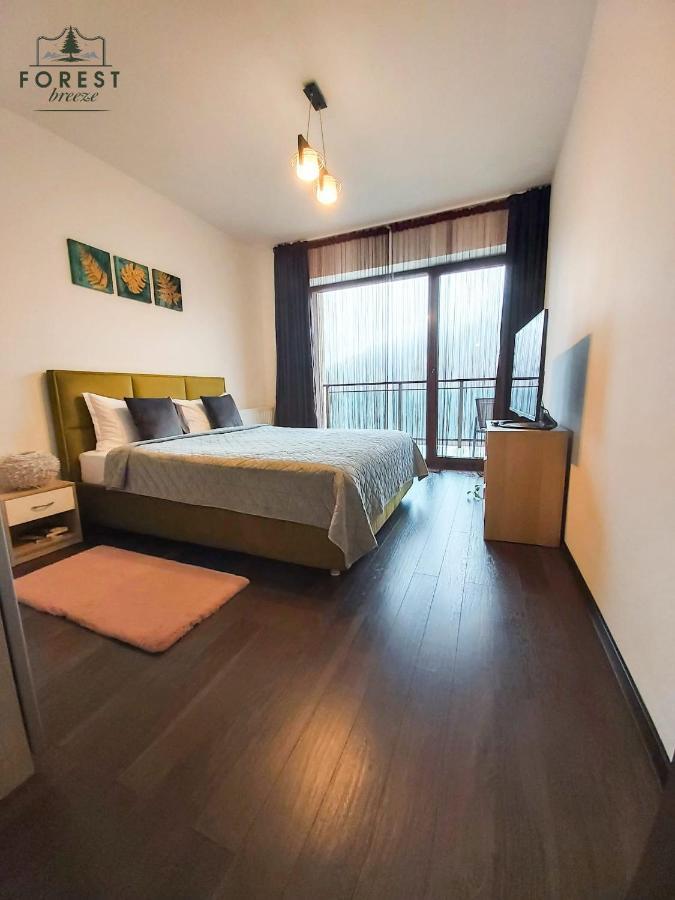 Forest Breeze Apartterrace ブラショフ エクステリア 写真