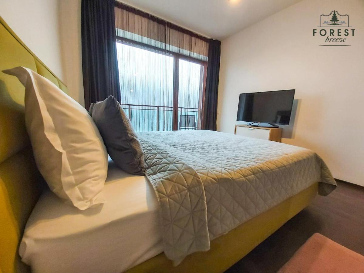 Forest Breeze Apartterrace ブラショフ エクステリア 写真