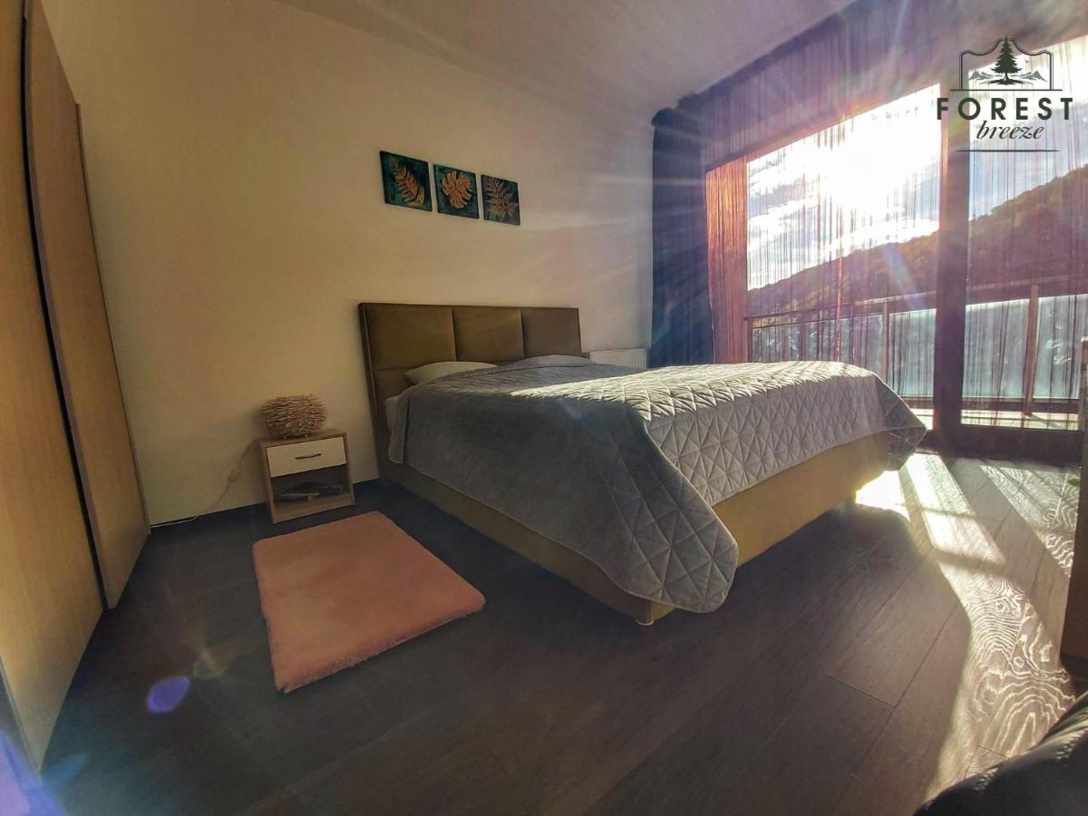 Forest Breeze Apartterrace ブラショフ エクステリア 写真