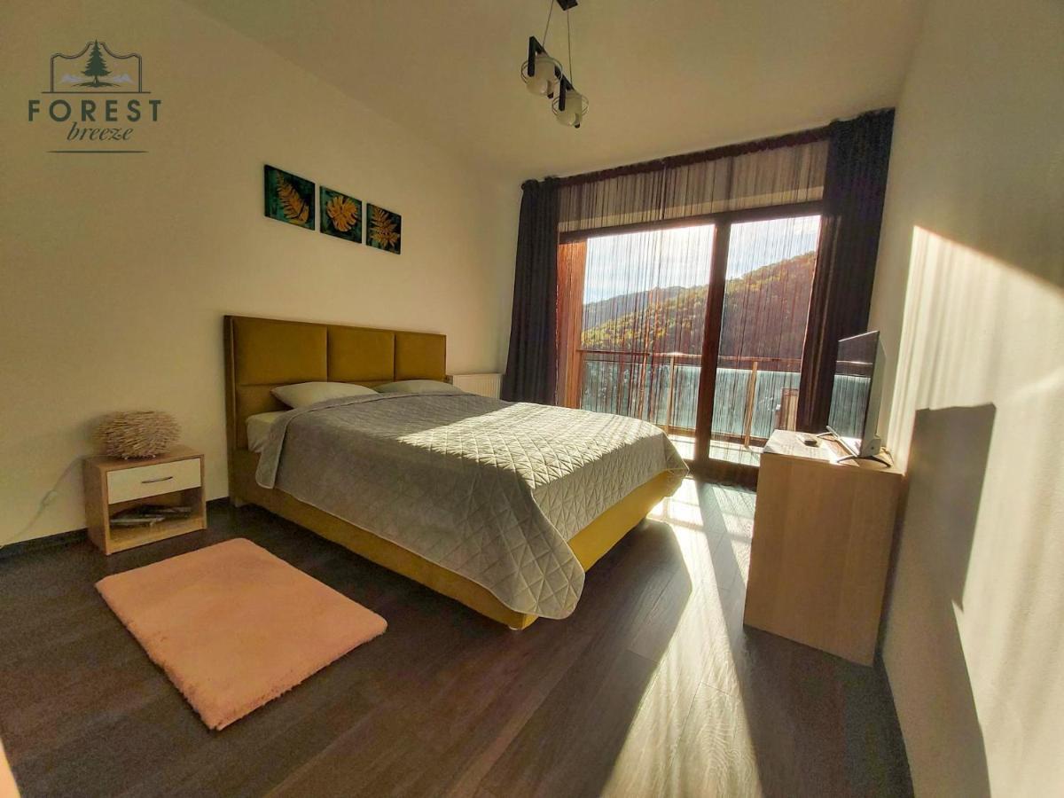Forest Breeze Apartterrace ブラショフ エクステリア 写真